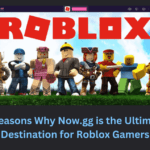 Now.gg for Roblox Gamers