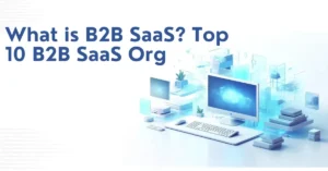 What is B2B SaaS